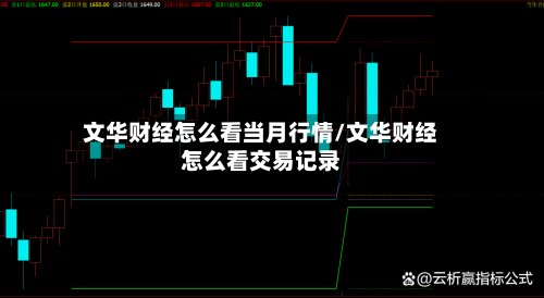 文华财经怎么看当月行情/文华财经怎么看交易记录