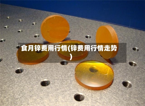 食月锌费用行情(锌费用行情走势)
