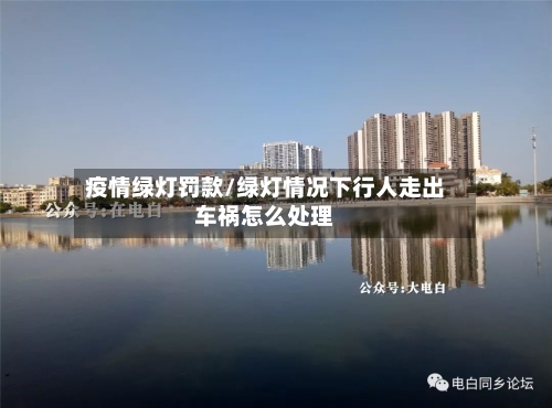 疫情绿灯罚款/绿灯情况下行人走出车祸怎么处理-第2张图片