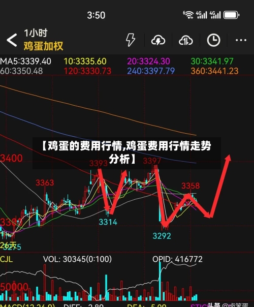 【鸡蛋的费用行情,鸡蛋费用行情走势分析】