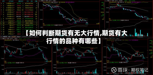 【如何判断期货有无大行情,期货有大行情的品种有哪些】-第2张图片