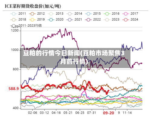 豆粕的行情今日新闻(豆粕市场聚焦3月前行情)-第3张图片