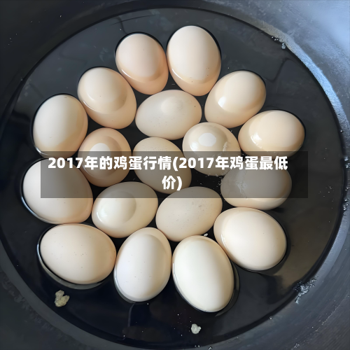 2017年的鸡蛋行情(2017年鸡蛋最低价)-第3张图片