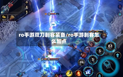 ro手游双刀刺客装备/ro手游刺客怎么加点-第2张图片