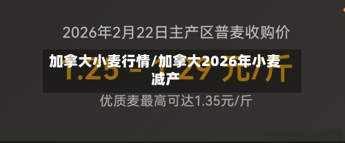 加拿大小麦行情/加拿大2026年小麦减产