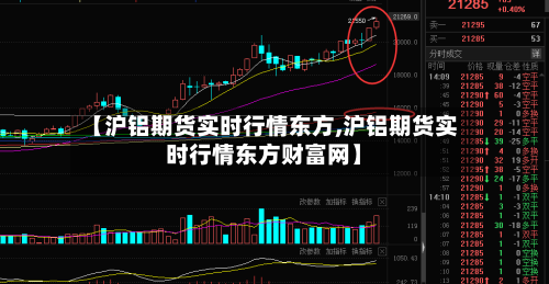 【沪铝期货实时行情东方,沪铝期货实时行情东方财富网】-第3张图片