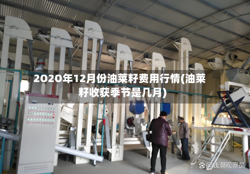 2O2O年12月份油莱籽费用行情(油莱籽收获季节是几月)-第2张图片