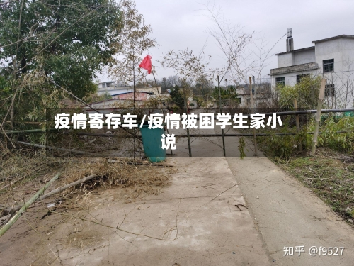 疫情寄存车/疫情被困学生家小说-第3张图片