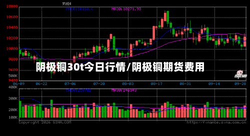阴极铜30t今日行情/阴极铜期货费用-第2张图片