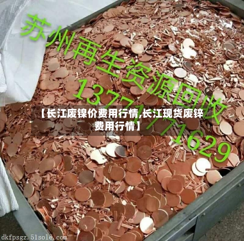 【长江废镍价费用行情,长江现货废锌费用行情】-第2张图片