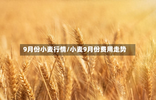 9月份小麦行情/小麦9月份费用走势
