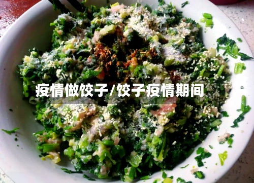 疫情做饺子/饺子疫情期间