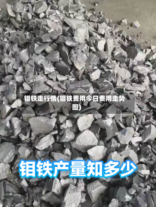钼铁走行情(钼铁费用今日费用走势图)