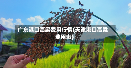 广东港口高粱费用行情(天津港口高粱费用表)