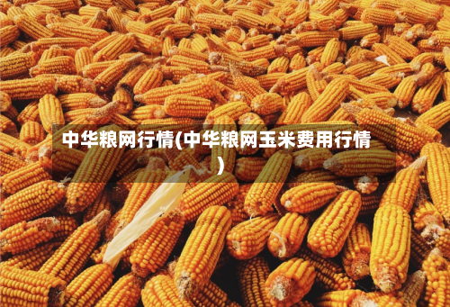 中华粮网行情(中华粮网玉米费用行情)-第3张图片