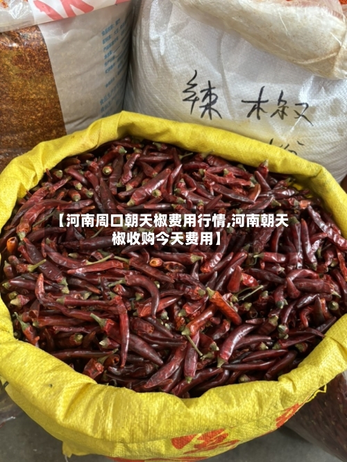 【河南周口朝天椒费用行情,河南朝天椒收购今天费用】-第2张图片