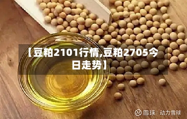【豆粕2101行情,豆粕2705今日走势】