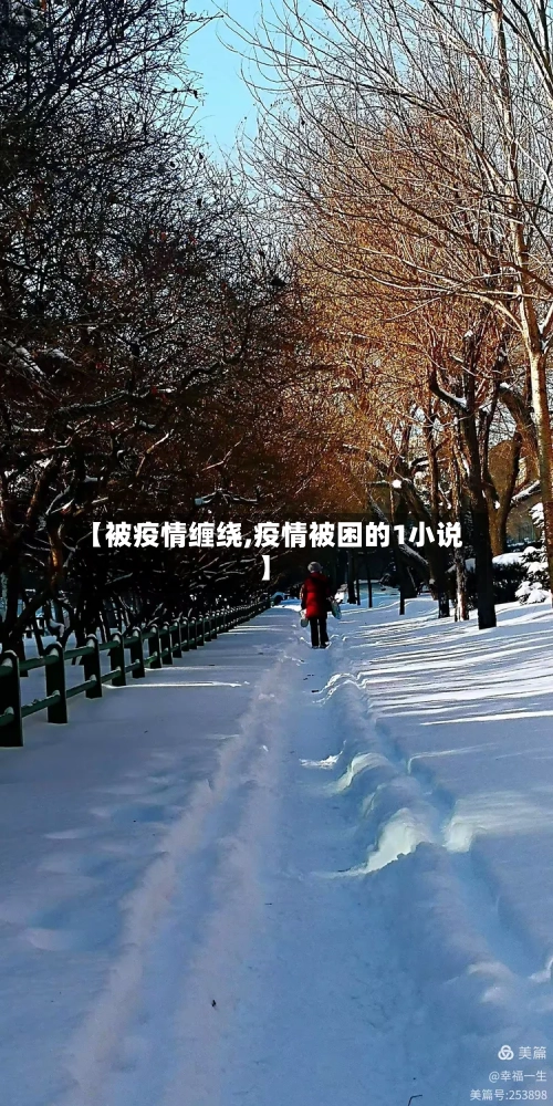 【被疫情缠绕,疫情被困的1小说】