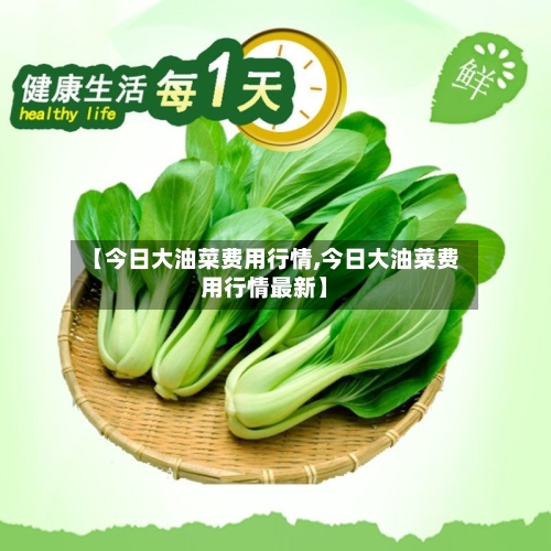 【今日大油菜费用行情,今日大油菜费用行情最新】
