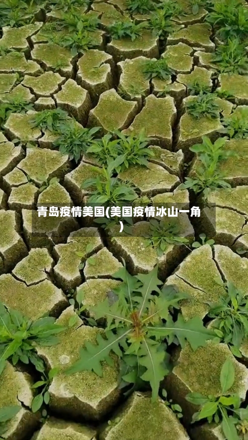 青岛疫情美国(美国疫情冰山一角)