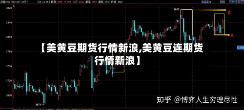 【美黄豆期货行情新浪,美黄豆连期货行情新浪】