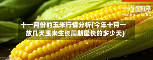十一月份的玉米行情分析(今年十月一放几天玉米生长周期最长的多少天)-第3张图片