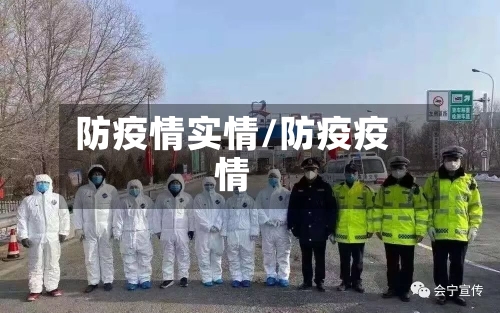防疫情实情/防疫疫情