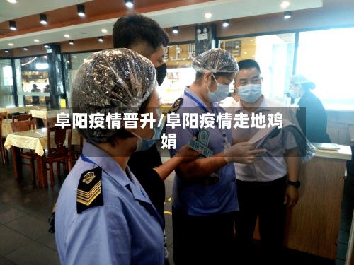 阜阳疫情晋升/阜阳疫情走地鸡娟