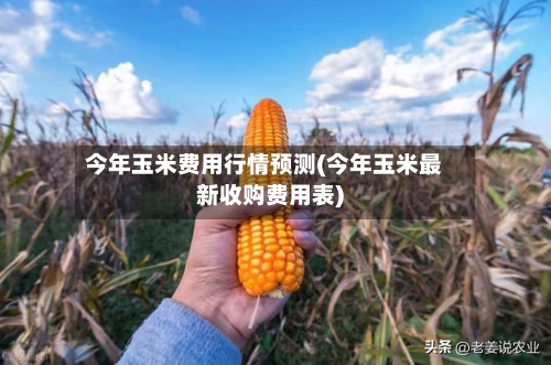 今年玉米费用行情预测(今年玉米最新收购费用表)-第2张图片