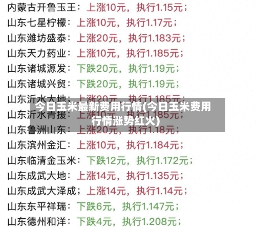今日玉米最新费用行情(今日玉米费用行情涨势红火)-第2张图片