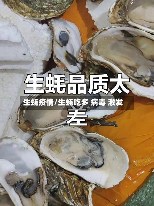 生蚝疫情/生蚝吃多 病毒 激发
