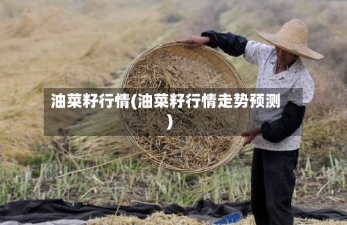 油菜籽行情(油菜籽行情走势预测)-第2张图片