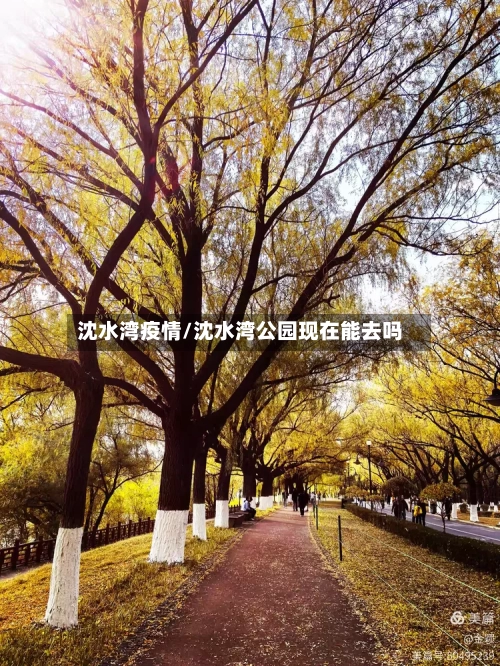 沈水湾疫情/沈水湾公园现在能去吗-第2张图片