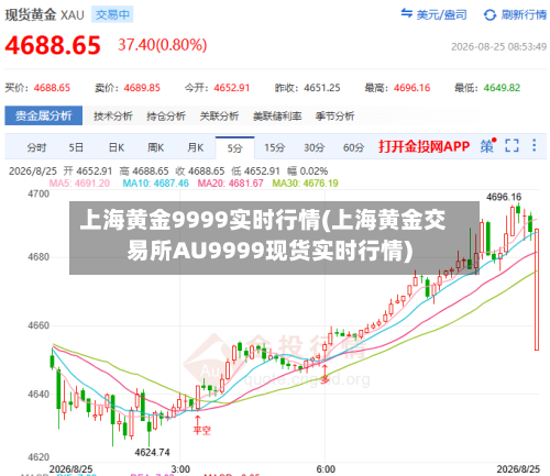 上海黄金9999实时行情(上海黄金交易所AU9999现货实时行情)