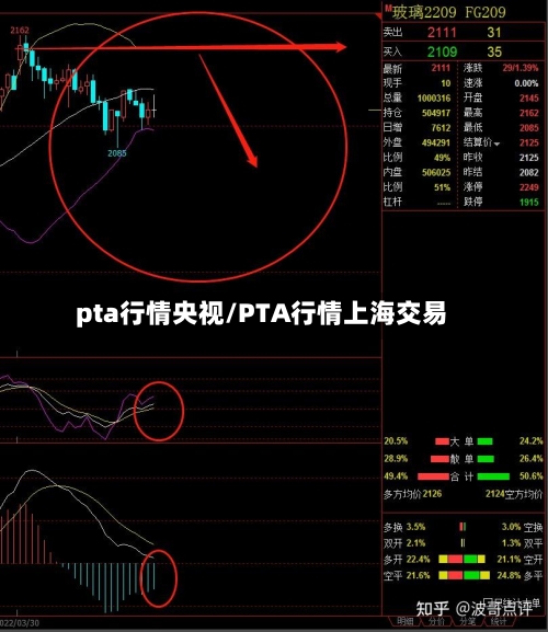 pta行情央视/PTA行情上海交易-第3张图片
