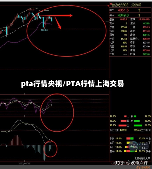 pta行情央视/PTA行情上海交易-第2张图片