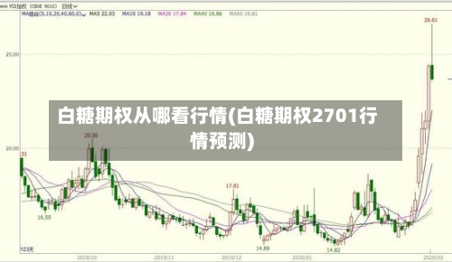 白糖期权从哪看行情(白糖期权2701行情预测)-第3张图片