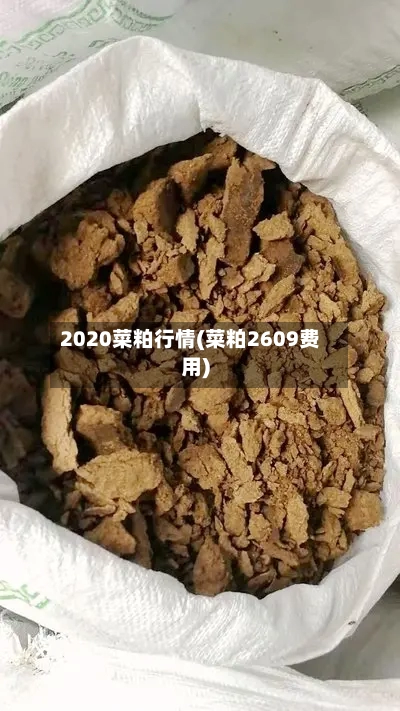 2020菜粕行情(菜粕2609费用)-第3张图片