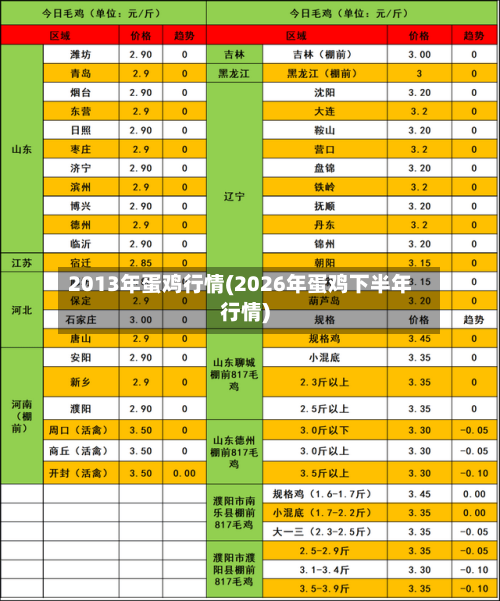 2013年蛋鸡行情(2026年蛋鸡下半年行情)-第2张图片