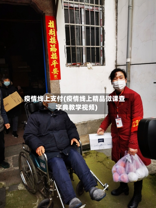 疫情线上支付(疫情线上精品微课查字典教学视频)-第2张图片