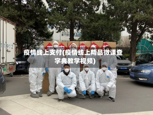 疫情线上支付(疫情线上精品微课查字典教学视频)-第3张图片