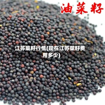 江苏菜籽行情(现在江苏菜籽费用多少)