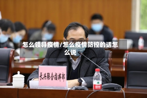 怎么领导疫情/怎么疫情防控的话怎么说-第2张图片