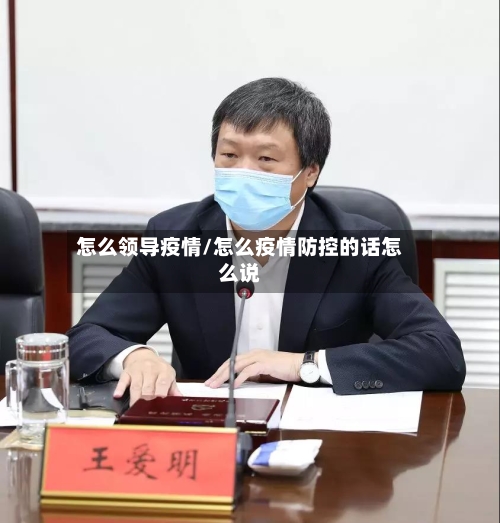 怎么领导疫情/怎么疫情防控的话怎么说-第3张图片