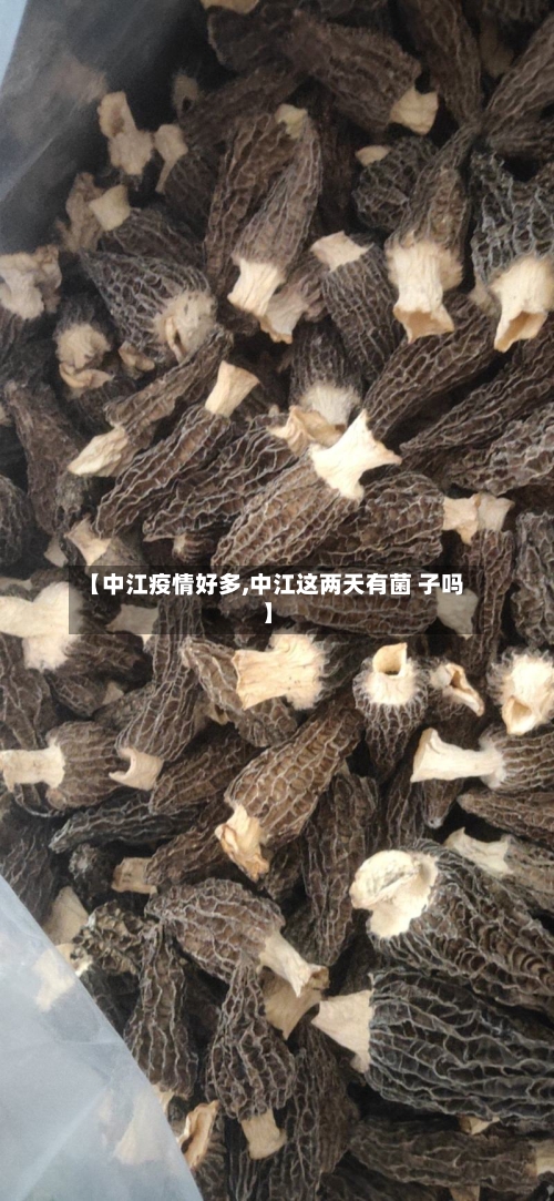 【中江疫情好多,中江这两天有菌 子吗】-第2张图片