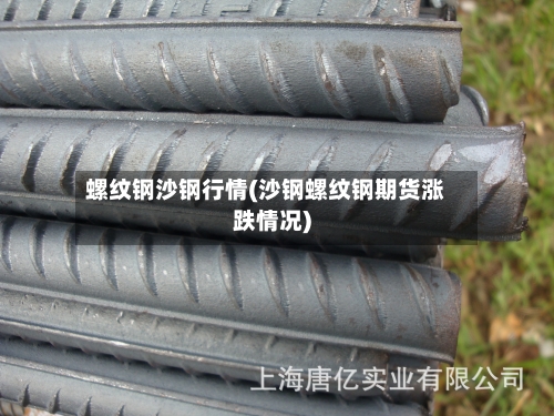 螺纹钢沙钢行情(沙钢螺纹钢期货涨跌情况)