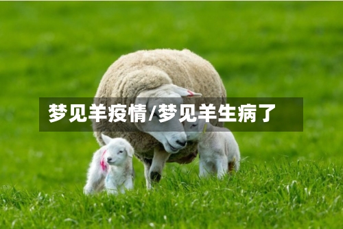 梦见羊疫情/梦见羊生病了