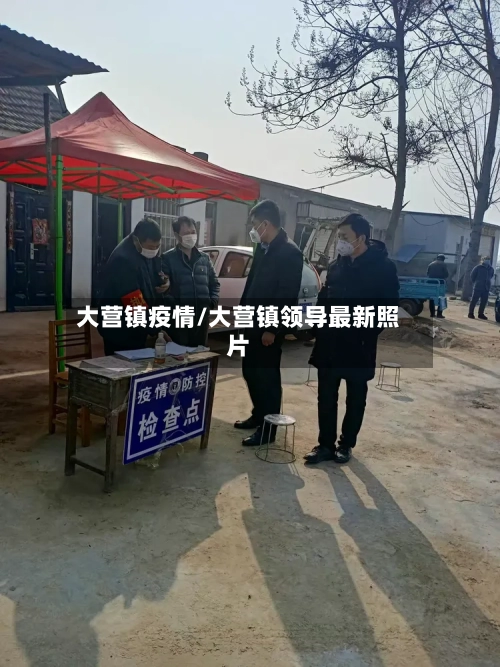 大营镇疫情/大营镇领导最新照片-第3张图片