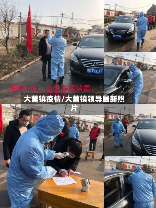 大营镇疫情/大营镇领导最新照片-第2张图片