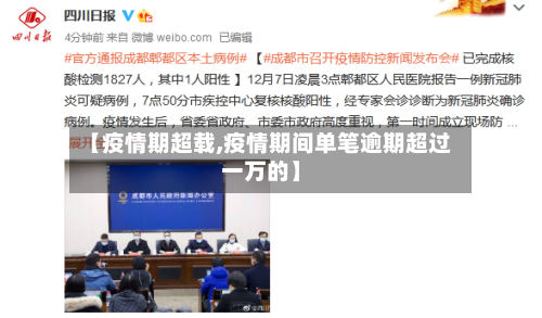 【疫情期超载,疫情期间单笔逾期超过一万的】-第3张图片